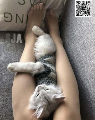 亚洲激情成人影院_高清韩国电影在线观看